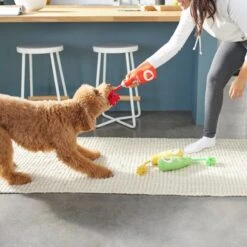 Frisco New Year, New Me Juice Cleanse Plush Squeaky Dog Toy -The Pet Haven Shop 288929 PT3. AC SS1800 V1638289348