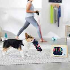 Frisco TV & VHS Tape Plush Squeaky Dog Toy, 2 Count 7 Frisco TV & VHS Tape Plush Squeaky Dog Toy, 2 Count -The Pet Haven Shop 288935 PT3. AC SS1800 V1638291435