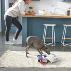 Frisco Cookbooks Plush Squeaky Dog Toy, 2 Count 7 Frisco Cookbooks Plush Squeaky Dog Toy, 2 Count -The Pet Haven Shop 288937 PT3. AC SS1800 V1638287852