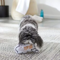 Frisco Message Bubble Plush Squeaky Dog Toy -The Pet Haven Shop 288941 PT3. AC SS1800 V1638289328