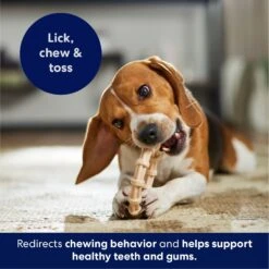 Frisco Ring Tough Nylon Chew Dog Toy, Chicken Flavor -The Pet Haven Shop 290533 PT4. AC SS1800 V1695760990