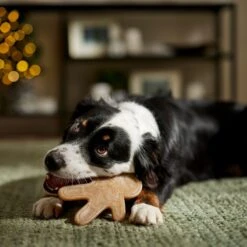 Frisco Nylon Gingerbread Dog Chew Toy, Beef Flavor, Medium -The Pet Haven Shop 291385 PT3. AC SS1800 V1668108316