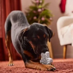 Frisco Holiday Nylon Snowflake Dog Chew Toy, Peanut Butter Flavor, Medium 9 Frisco Holiday Nylon Snowflake Dog Chew Toy, Peanut Butter Flavor, Medium -The Pet Haven Shop 291387 PT3. AC SS1800 V1629306692