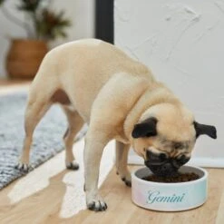 Frisco Watercolors Ceramic Personalized Dog Bowl -The Pet Haven Shop 296664 PT2. AC SS1800 V1625764663