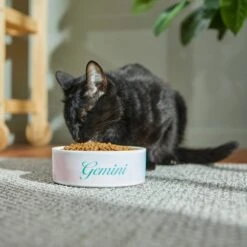 Frisco Watercolors Ceramic Personalized Dog Bowl -The Pet Haven Shop 296664 PT3. AC SS1800 V1625764646