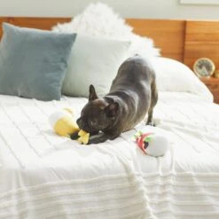 Frisco Brunch Bottomless Mimosas Plush Squeaky Dog Toy, 2 Count -The Pet Haven Shop 297226 PT2. AC SS1800 V1642088368