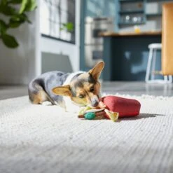 Frisco Brunch Bloody Mary Plush Squeaky Dog Toy -The Pet Haven Shop 297228 PT2. AC SS1800 V1642088343