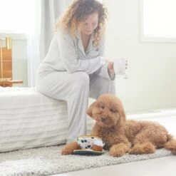 Frisco Brunch Teacup Plush Squeaky Dog Toy -The Pet Haven Shop 297232 PT3. AC SS1800 V1642087957