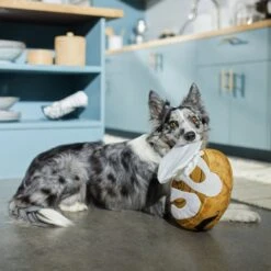 Frisco Brunch Cinnamon Roll Jumbo Plush Squeaky Dog Toy 7 Frisco Brunch Cinnamon Roll Jumbo Plush Squeaky Dog Toy -The Pet Haven Shop 297260 PT2. AC SS1800 V1642089012