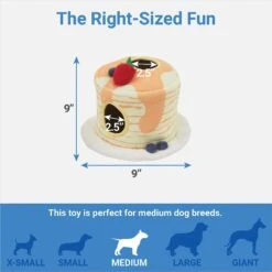 Frisco Brunch Pancake Hide & Seek Puzzle Plush Squeaky Dog Toy -The Pet Haven Shop 297266 PT1. AC SS1800 V1643916383