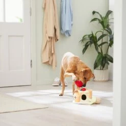 Frisco Brunch Pancake Hide & Seek Puzzle Plush Squeaky Dog Toy -The Pet Haven Shop 297266 PT3. AC SS1800 V1642087986