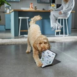 Frisco Brunch Menu Ballistic Nylon Flat Plush Squeaky Dog Toy -The Pet Haven Shop 297276 PT2. AC SS1800 V1642088788