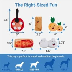 Frisco Lunar New Year Good Fortune Food Plush Squeaky Dog Toy -The Pet Haven Shop 298883 PT1. AC SS1800 V1640883681