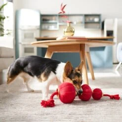 Frisco Lunar New Year Lantern Plush With Rope Squeaky Dog Toy 7 Frisco Lunar New Year Lantern Plush With Rope Squeaky Dog Toy -The Pet Haven Shop 298885 PT3. AC SS1800 V1640269279