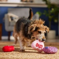 Frisco Valentine Hearts Plush Squeaky Dog Toy -The Pet Haven Shop 298919 PT3. AC SS1800 V1701365170