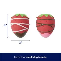 Frisco Valentine Chocolate Covered Strawberries Latex Squeaky Dog Toy -The Pet Haven Shop 298923 PT1. AC SS1800 V1701365172