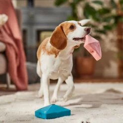 Frisco Valentine Love Letters Latex Squeaky Dog Toy -The Pet Haven Shop 298925 PT3. AC SS1800 V1701365173