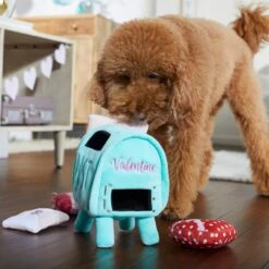 Frisco Valentine Love Letters Hide & Seek Puzzle Plush Squeaky Dog Toy -The Pet Haven Shop 298929 PT3. AC SS1800 V1638987486