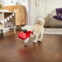 Frisco Valentine Anatomical Heart Plush Squeaky Dog Toy -The Pet Haven Shop 298933 PT3. AC SS1800 V1638987632