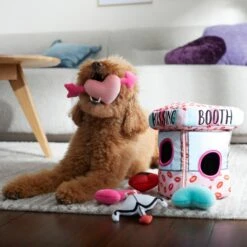 Frisco Valentine Kissing Booth Hide & Seek Puzzle Plush Squeaky Dog Toy 10 Frisco Valentine Kissing Booth Hide & Seek Puzzle Plush Squeaky Dog Toy -The Pet Haven Shop 298943 PT3. AC SS1800 V1638987417
