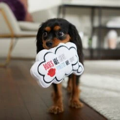 Frisco Valentine Be My Valentine Thought Bubble Reversible Plush Squeaky Dog Toy -The Pet Haven Shop 298947 PT3. AC SS1800 V1638987445