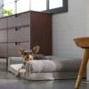 Frisco Boho Modern Couch Dog & Cat Bed -The Pet Haven Shop 299392 MAIN. AC SS1800 V1638288742
