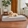 Frisco Ortho Lounger Dog & Cat Bed 1 Frisco Ortho Lounger Dog & Cat Bed -The Pet Haven Shop 299465 MAIN. AC SS1800 V1638288352