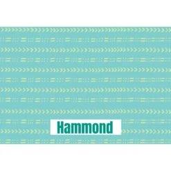 Frisco Mudcloth Personalized Dog & Cat Placemat 9 Frisco Mudcloth Personalized Dog & Cat Placemat -The Pet Haven Shop 299552 PT2. AC SS1800 V1636048646