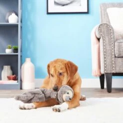 Frisco Giraffe Bungee Plush Squeaky Dog Toy & Frisco Sloth Bungee Plush Squeaky Dog Toy -The Pet Haven Shop 302402 PT8. AC SS1800 V1623091941