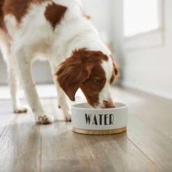 Frisco Ceramic Water Dog & Cat Bowl With Wood Base & Frisco Ceramic Food Dog & Cat Bowl With Wood Base -The Pet Haven Shop 302424 PT3. AC SS1800 V1623073961