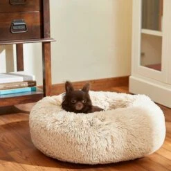 Frisco Eyelash Cat & Dog Bolster Bed & Frisco Eyelash Cat & Dog Bolster Bed -The Pet Haven Shop 302450 PT4. AC SS1800 V1623046356