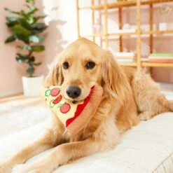 Frisco Pizza Slice Plush Squeaky Dog Toy & Frisco Taco Plush Squeaky Dog Toy 12 Frisco Pizza Slice Plush Squeaky Dog Toy & Frisco Taco Plush Squeaky Dog Toy -The Pet Haven Shop 302494 PT3. AC SS1800 V1623051762