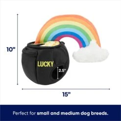 Frisco St. Patrick's Pot Of Gold Hide & Seek Puzzle Plush Squeaky Dog Toy -The Pet Haven Shop 303130 PT1. AC SS1800 V1703016817