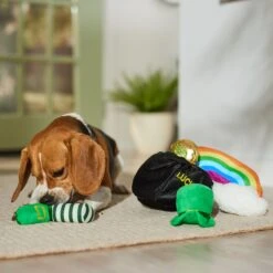 Frisco St. Patrick's Pot Of Gold Hide & Seek Puzzle Plush Squeaky Dog Toy -The Pet Haven Shop 303130 PT4. AC SS1800 V1700163009