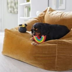 Frisco St. Patrick's Rainbow And Pot Of Gold Latex Squeaky Dog Toy 10 Frisco St. Patrick's Rainbow And Pot Of Gold Latex Squeaky Dog Toy -The Pet Haven Shop 303136 PT4. AC SS1800 V1702500566