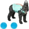Frisco Active Dog Life Jacket & Frisco Foam Rubber Floating Fetch Ball No Squeak Dog Toy 2 Frisco Active Dog Life Jacket & Frisco Foam Rubber Floating Fetch Ball No Squeak Dog Toy -The Pet Haven Shop 303364 MAIN. AC SS1800 V1623163652