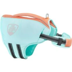 Frisco Active Dog Life Jacket & Frisco Foam Rubber Floating Fetch Ball No Squeak Dog Toy -The Pet Haven Shop 303364 PT2. AC SS1800 V1623163059
