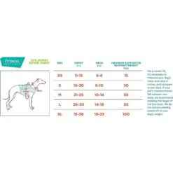 Frisco Active Dog Life Jacket & Frisco Foam Rubber Floating Fetch Ball No Squeak Dog Toy -The Pet Haven Shop 303364 PT5. AC SS1800 V1623163949