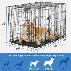 Frisco Fold & Carry Double Door Collapsible Wire Dog Crate & Mat Kit & Frisco Stainless Steel Bowl 12 Frisco Fold & Carry Double Door Collapsible Wire Dog Crate & Mat Kit & Frisco Stainless Steel Bowl -The Pet Haven Shop 303428 PT2. AC SS1800 V1623055045