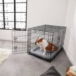 Frisco Fold & Carry Double Door Collapsible Wire Dog Crate & Mat Kit & Frisco Stainless Steel Bowl 14 Frisco Fold & Carry Double Door Collapsible Wire Dog Crate & Mat Kit & Frisco Stainless Steel Bowl -The Pet Haven Shop 303428 PT4. AC SS1800 V1623089543