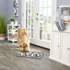 Frisco Fold & Carry Double Door Collapsible Wire Dog Crate & Mat Kit & Frisco Stainless Steel Bowl 17 Frisco Fold & Carry Double Door Collapsible Wire Dog Crate & Mat Kit & Frisco Stainless Steel Bowl -The Pet Haven Shop 303428 PT7. AC SS1800 V1623045760