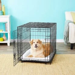 Frisco Fold & Carry Single Door Collapsible Wire Dog Crate & Frisco Premium Extra Large Printed Dog Training & Potty Pads -The Pet Haven Shop 303438 PT4. AC SS1800 V1623088347