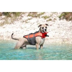 Frisco Ripstop Dog Life Jacket & Frisco Foam Rubber Floating Fetch Ball No Squeak Dog Toy -The Pet Haven Shop 303546 PT4. AC SS1800 V1623046643
