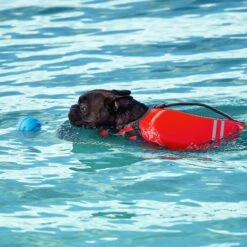 Frisco Ripstop Dog Life Jacket & Frisco Foam Rubber Floating Fetch Ball No Squeak Dog Toy -The Pet Haven Shop 303546 PT7. AC SS1800 V1623068257