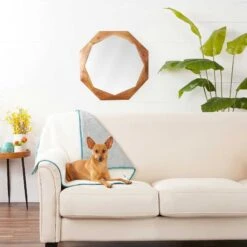 Frisco Sherpa Dog & Cat Blanket & Frisco Sherpa Hexagon Bolster Cat & Dog Bed -The Pet Haven Shop 303598 PT3. AC SS1800 V1623082359