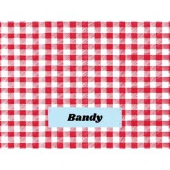 Frisco Personalized Gingham Plaid Soft Fleece Cat & Dog Blanket, 30" X 40" -The Pet Haven Shop 304001 PT4. AC SS1800 V1637609279