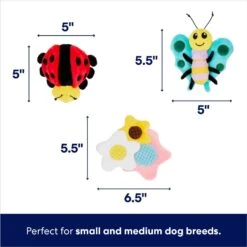 Frisco Spring Pack Plush Squeaky Dog Toy -The Pet Haven Shop 304950 PT1. AC SS1800 V1703016816