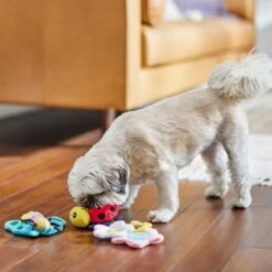 Frisco Spring Pack Plush Squeaky Dog Toy -The Pet Haven Shop 304950 PT4. AC SS1800 V1703184715