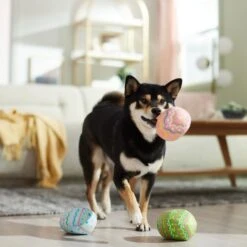 Frisco Easter Eggs Plush Squeaky Dog Toy -The Pet Haven Shop 304954 PT4. AC SS1800 V1702500565