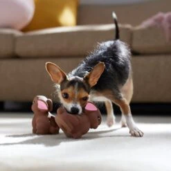 Frisco Easter Chocolate Bunnies Latex Squeaky Dog Toy -The Pet Haven Shop 304956 PT4. AC SS1800 V1700162989